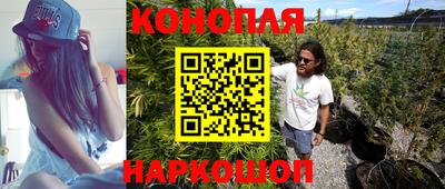 PSILOCYBIN Обнинск