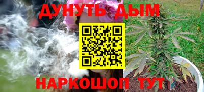 сатива Пенза