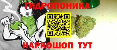 PSILOCYBIN Обнинск