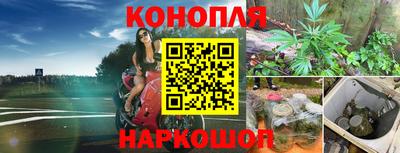 PSILOCYBIN Обь