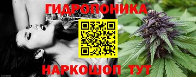 PSILOCYBIN Обнинск