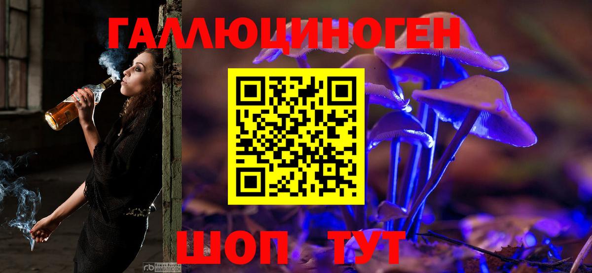 Псилоцибиновые грибы Cubensis Таганрог